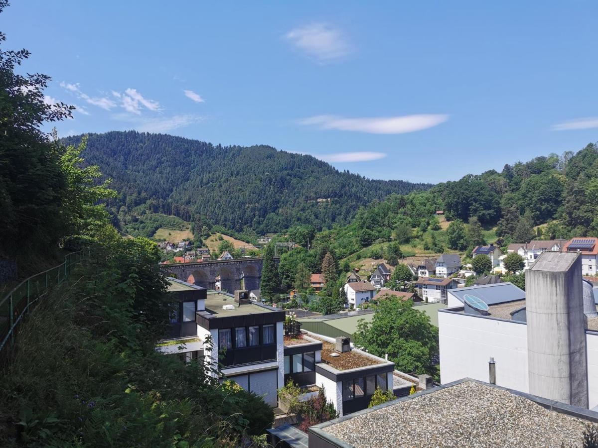 Terrassenwohnung Mit Toller Aussicht & Zentrumsnah Hornberg Exterior photo