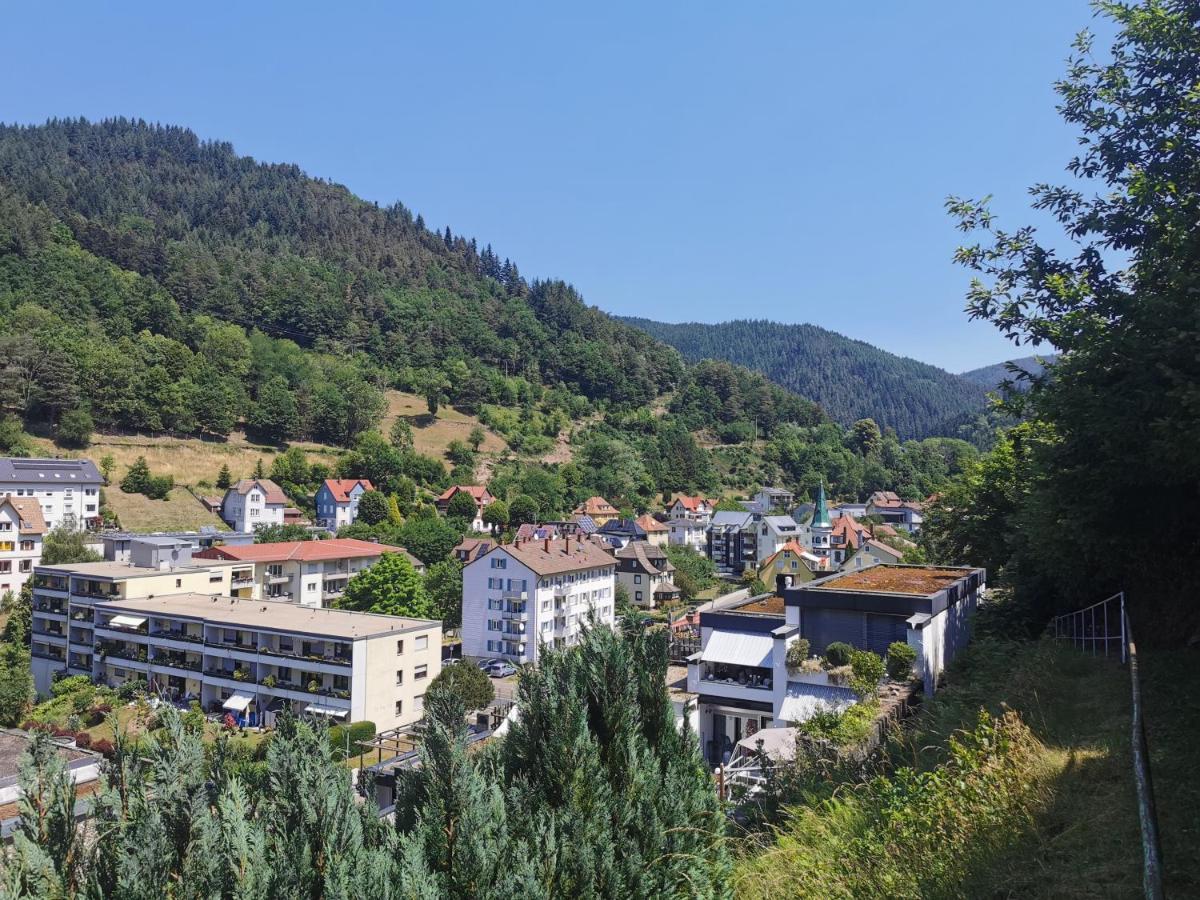 Terrassenwohnung Mit Toller Aussicht & Zentrumsnah Hornberg Exterior photo