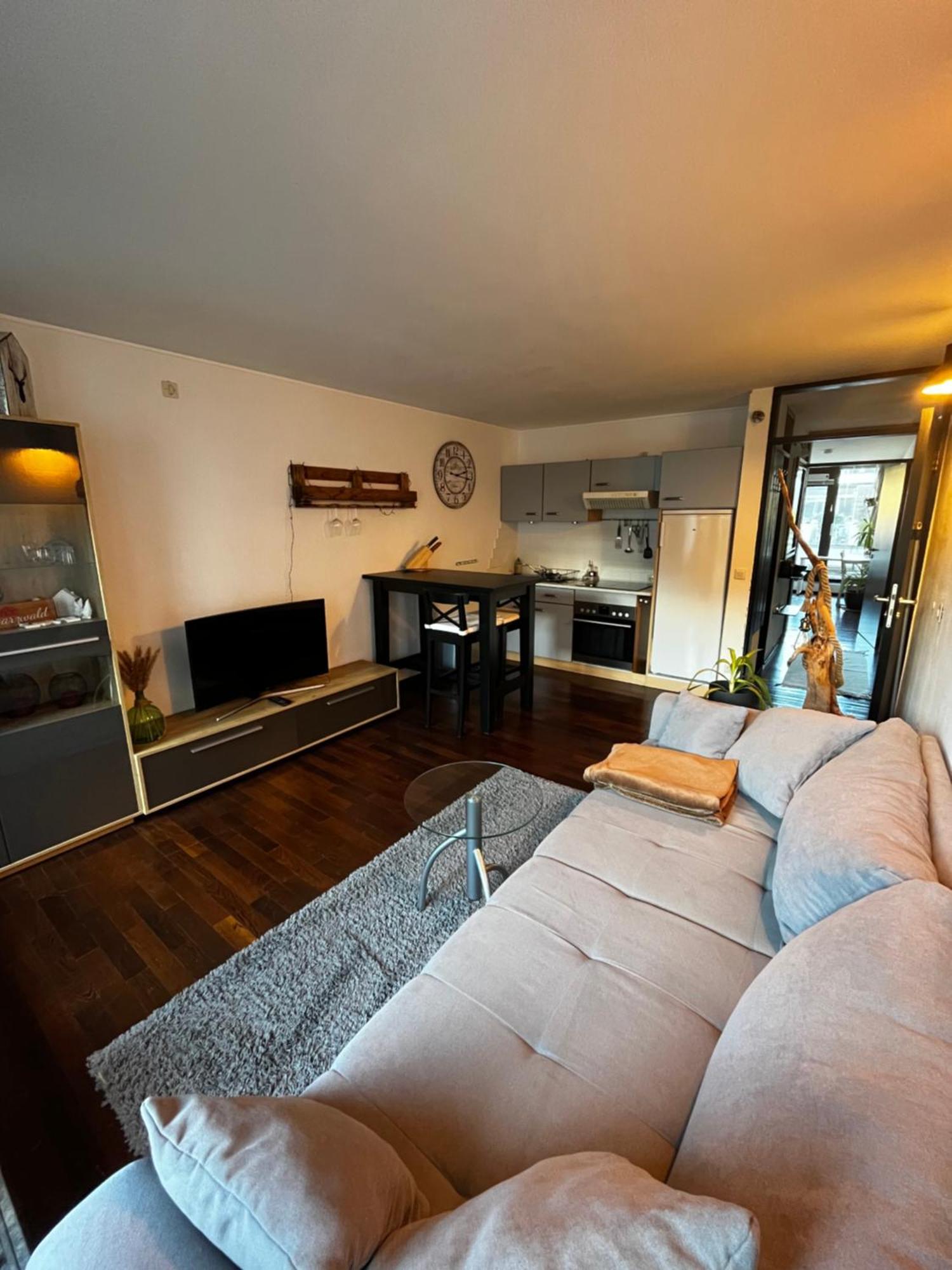 Terrassenwohnung Mit Toller Aussicht & Zentrumsnah Hornberg Exterior photo